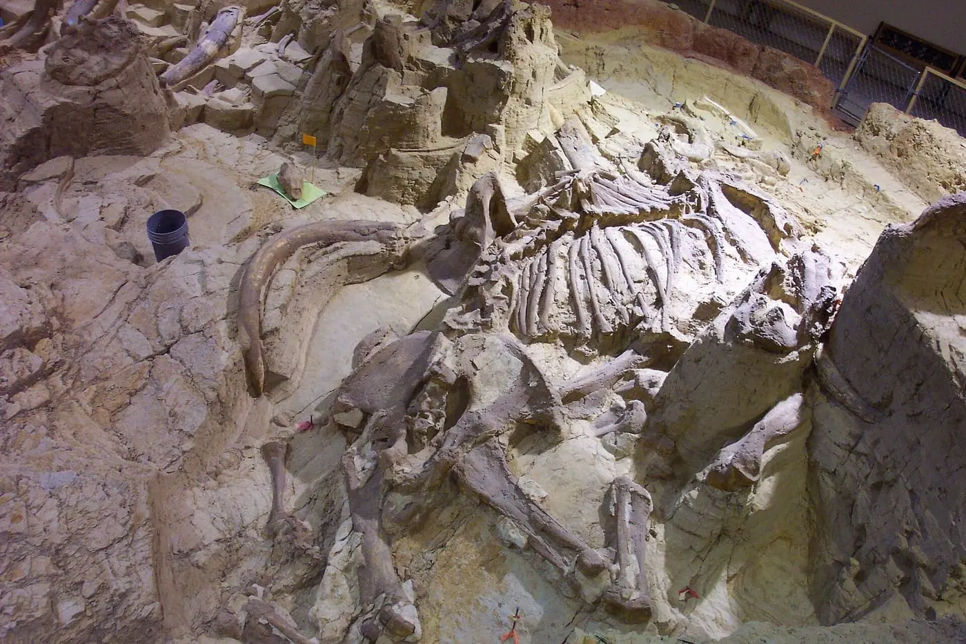 Hot Springs & the Mammoth Site