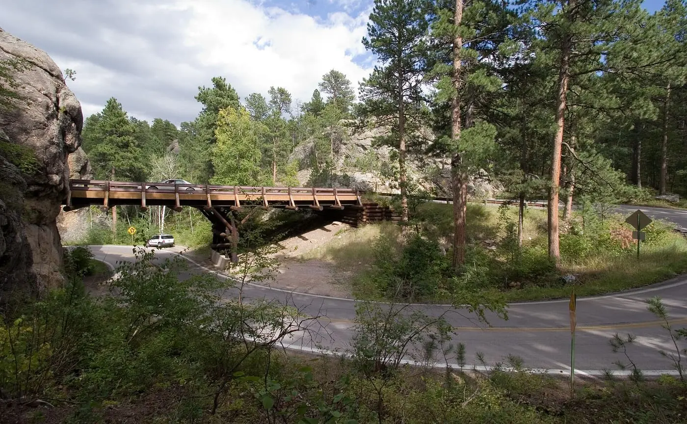 Iron Mountain Road