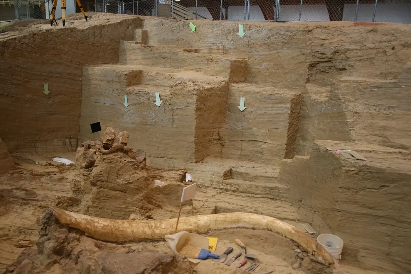 The Mammoth Site