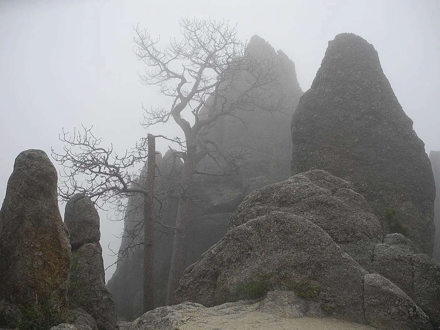 Needles Highway & the Needles Eye