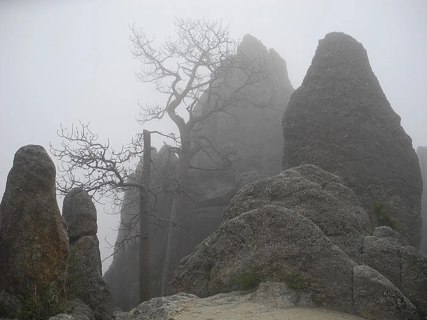Needles Highway & the Needles Eye